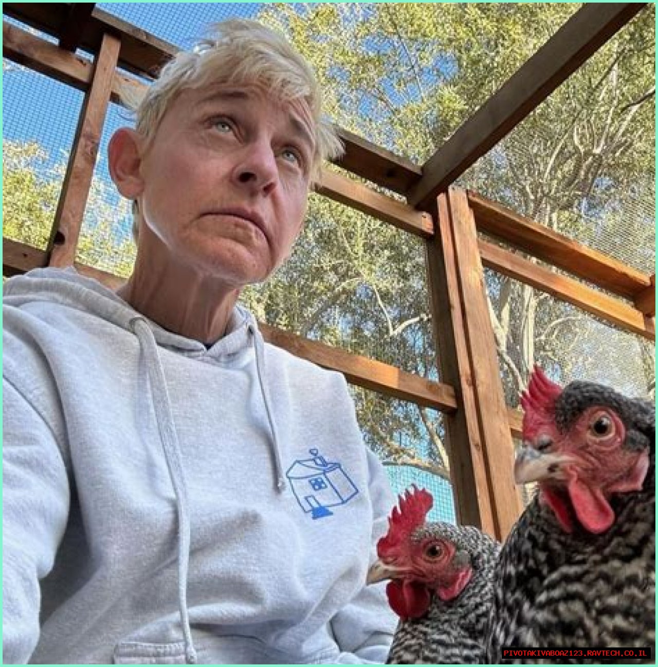 Mia Wasikowska: A Comprehensive Look At Her Life And Career